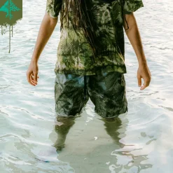 Shorts><noscript><img width=