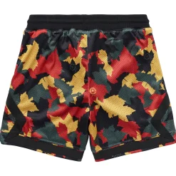 Shorts>LRG Original Maple Mesh Shorts Multi