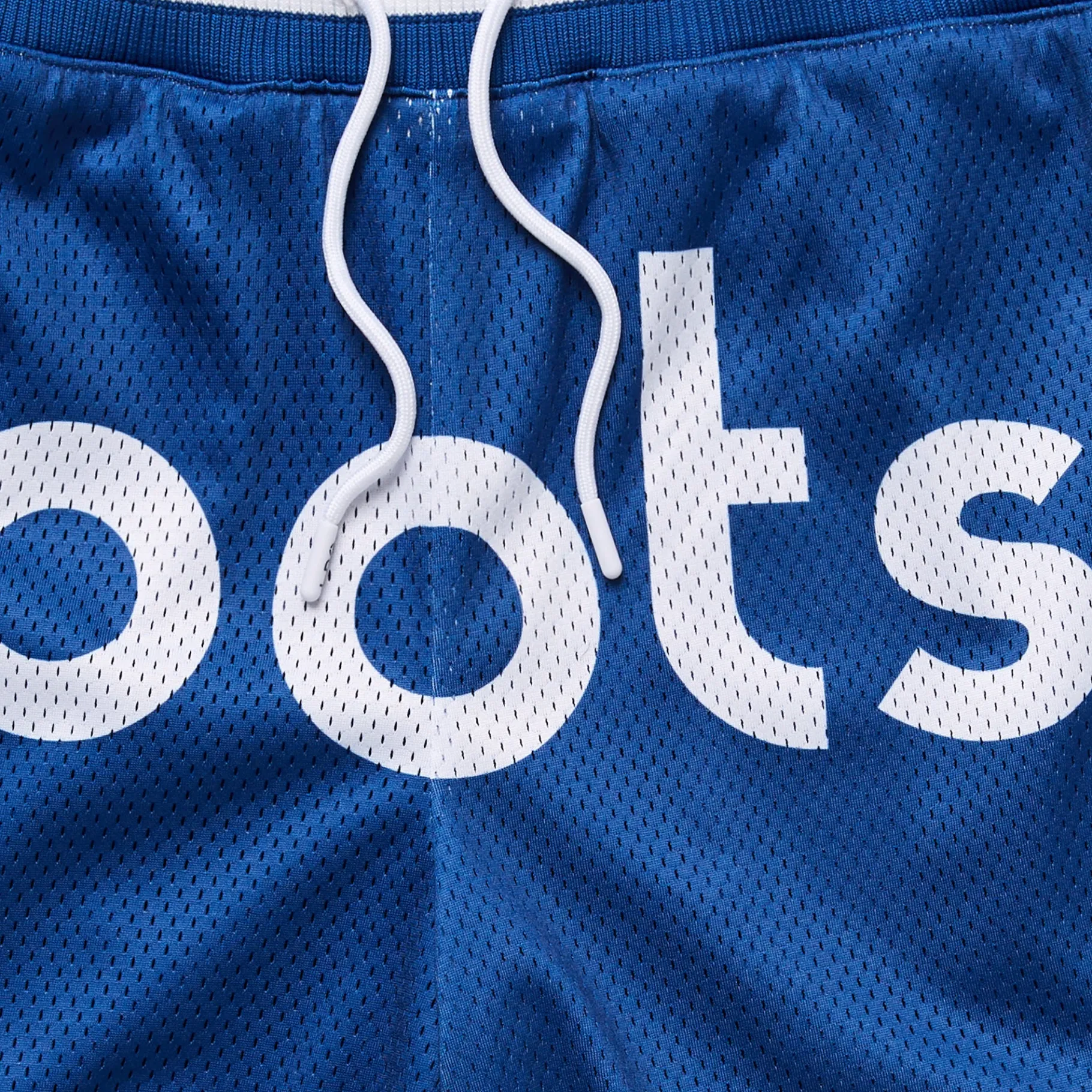 Shorts>LRG Original Roots Mesh Shorts Royal