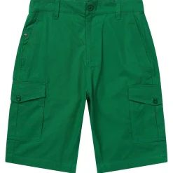 Shorts>LRG Rc Cargo Shorts Palm Leaf