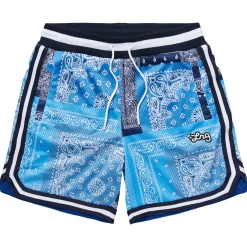 Shorts>LRG Strictly Script Roots Mesh Shorts Blue